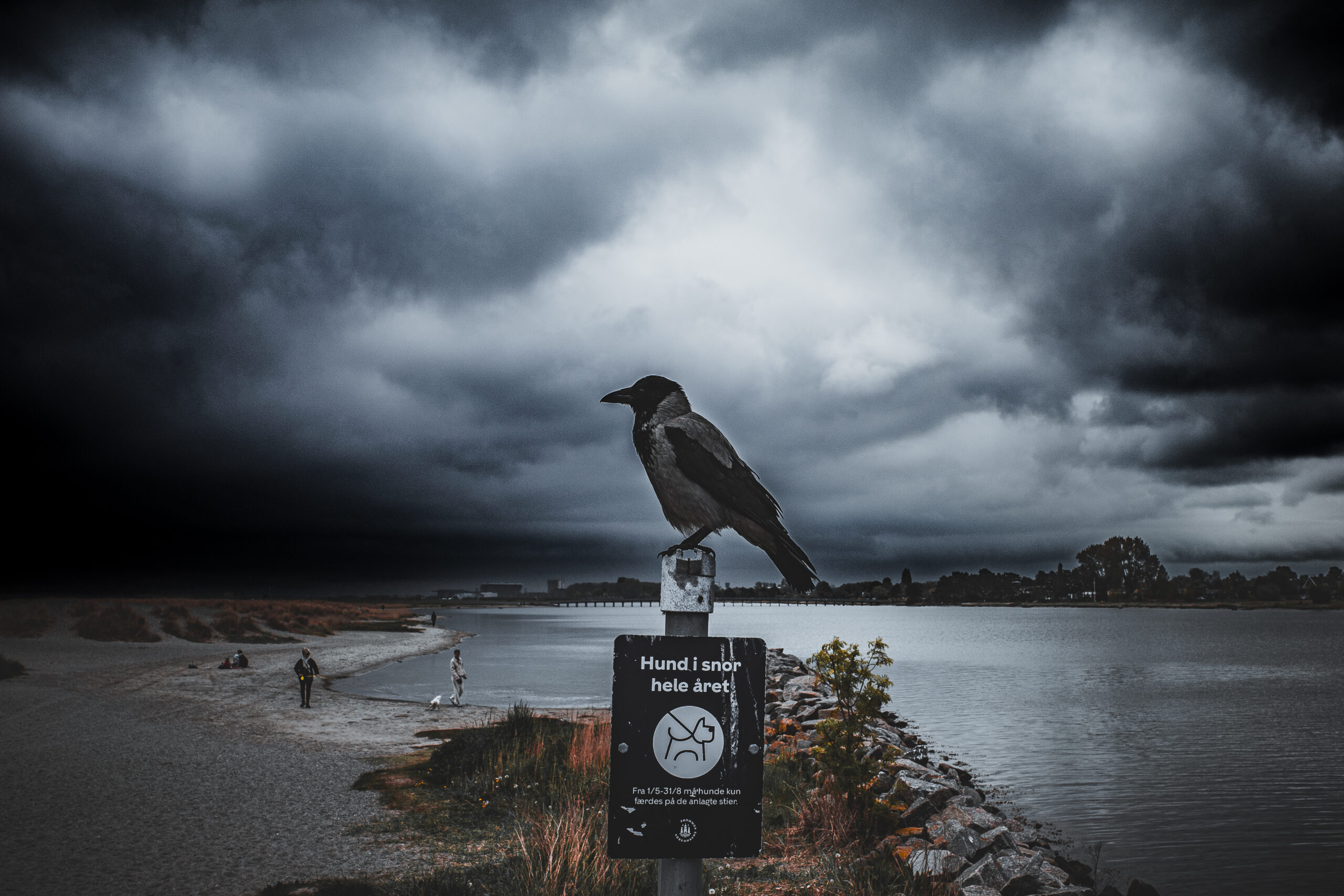 Street photography by Alin Bratu